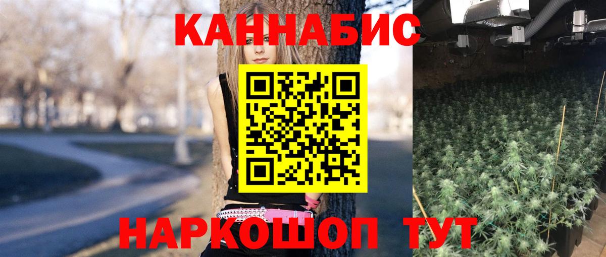Марихуана план  Вход с VPN  Канабис AK-47  МАРИХУАНА марихуана  Канабис OG Kush  Черняховск 